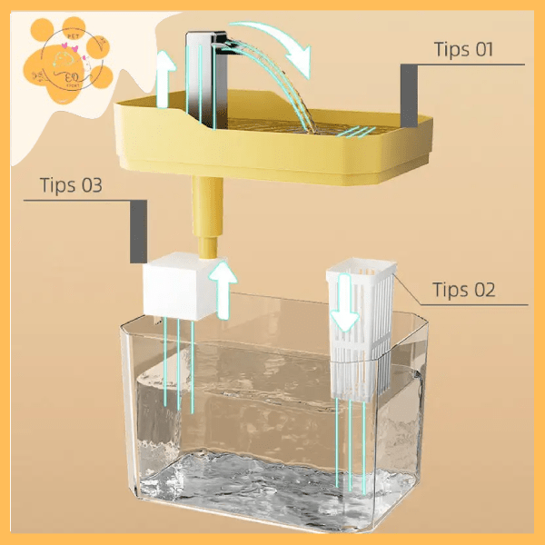 Advanced filtration water fountain diagram with labeled filter tips and transparent tank