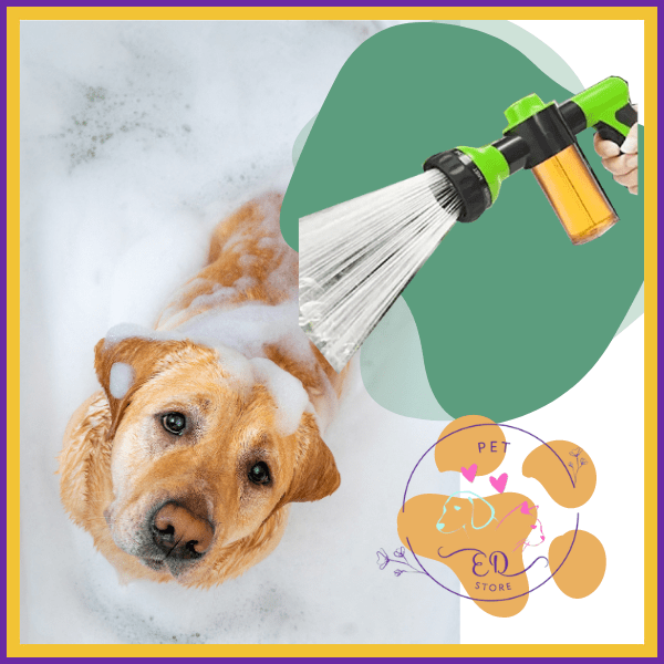 Golden retriever in bath with bubbles, AquaPet spray nozzle, and pet store logo