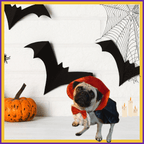 Pug in vampire costume with Halloween decorations, bats, pumpkin, and spider web backdrop