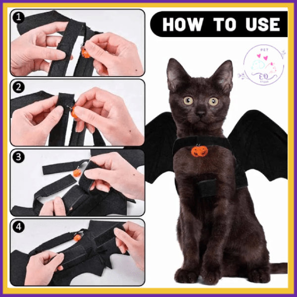 Bat wings assembly guide for cats, step-by-step instructions with black cat costume