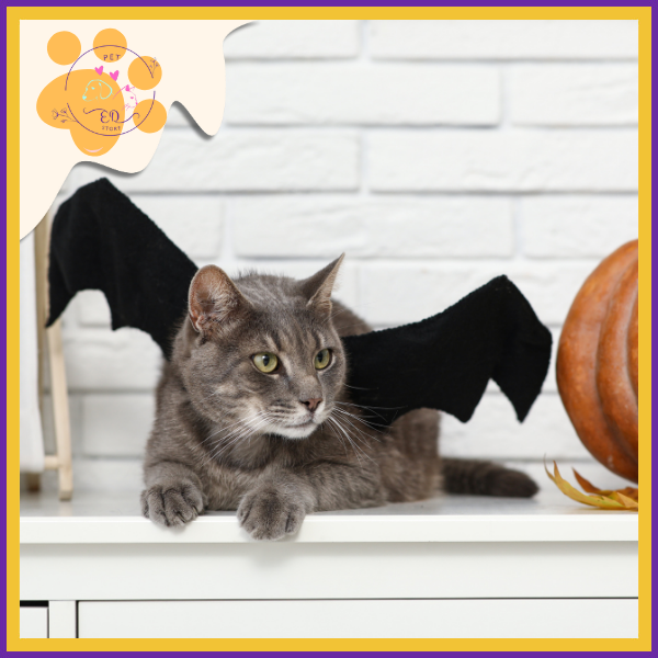 🦇BatWings Halloween Pet Costume |Bat Wings for Dogs & Cats