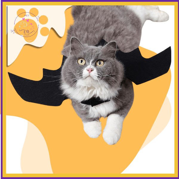 Gray cat wearing black bat wings costume on yellow background