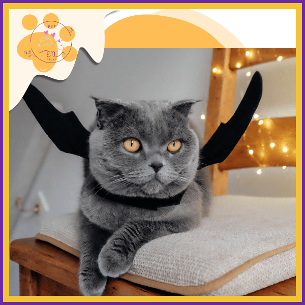 Gray cat wearing black bat wings costume on chair with fairy lights background