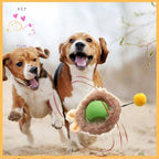 SmartBol:The Ultimate Interactive Dog Ball for Fun & Fitness - Pet Store ED
