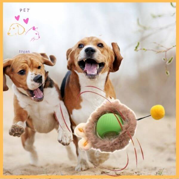 SmartBol:The Ultimate Interactive Dog Ball for Fun & Fitness - Pet Store ED