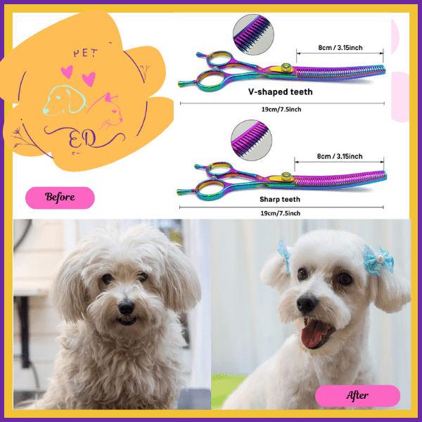 Before and after dog grooming with scissors, showing fluffy dog and neatly trimmed dog with bows.