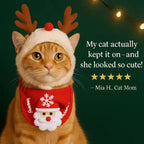 Orange cat wearing reindeer antlers hat and Santa Claus bib with Christmas lights background