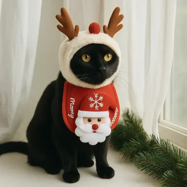 Black cat wearing reindeer hat and Santa bib, sitting by window with pine branch, Christmas costume