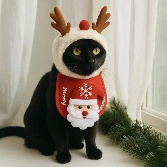 Black cat wearing reindeer hat and Santa bib, sitting by window with pine branch, Christmas costume
