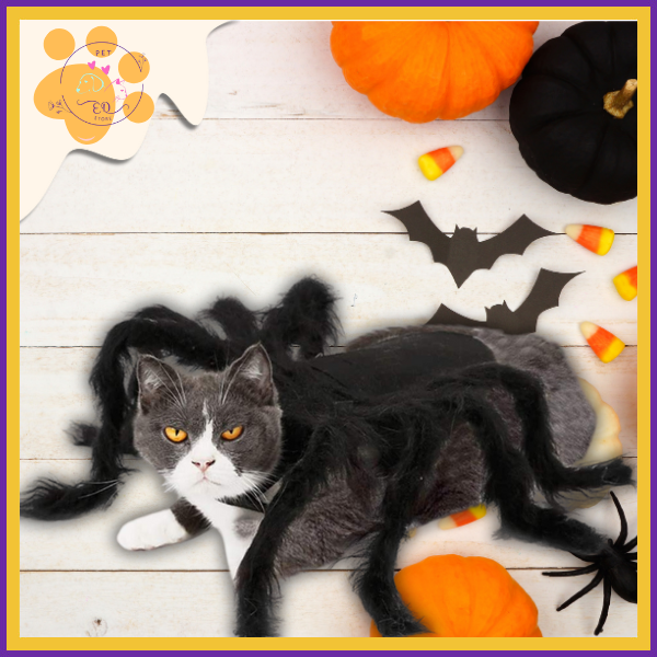 SpiderPaw: Transform Your Pet into a Hilarious Halloween Spider