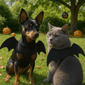 Tired of Pet Costumes That Hurt? Try This Soft Bat Wings! - Pet Store ED