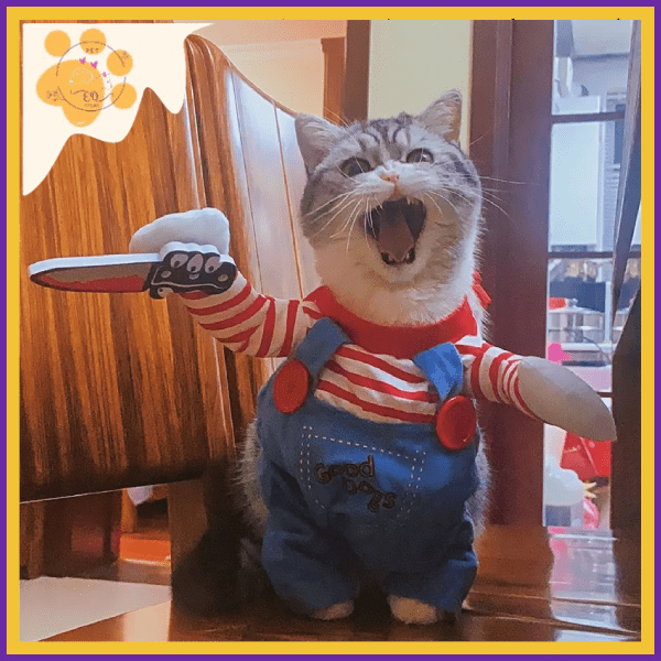 Gray tabby cat in Chucky costume with knife prop, sitting on chair for Halloween