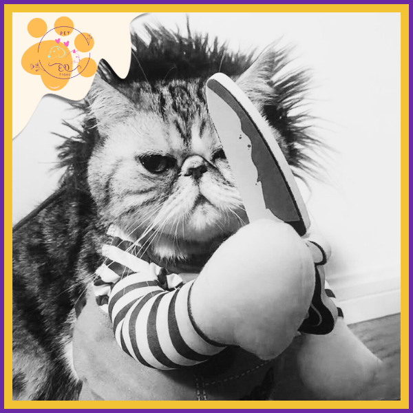Puppy Chucky: Scary & Funny Dog and Cat Costume for Halloween! - Pet Store ED