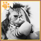 Puppy Chucky: Scary & Funny Dog and Cat Costume for Halloween! - Pet Store ED