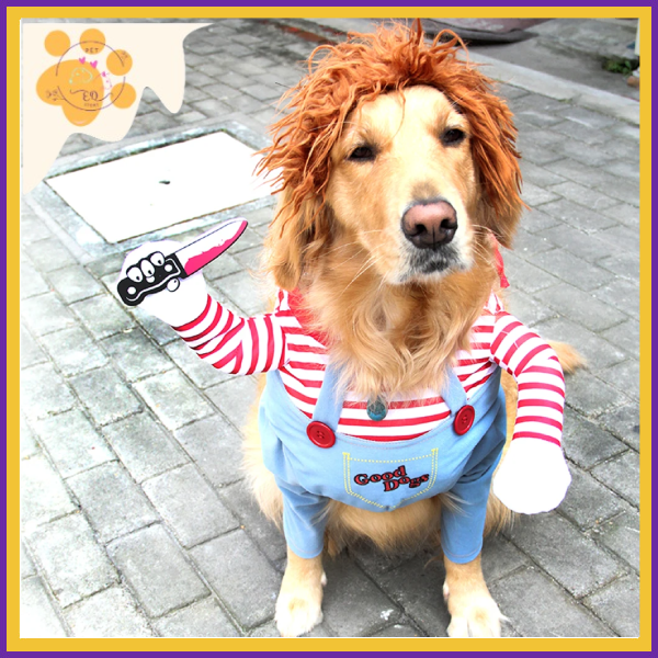 Dog dressed as Chucky, with a wig and knife, for Halloween fun.