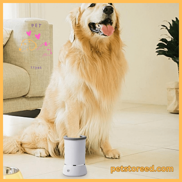 Golden Retriever using CleanPaws dog paw cleaner in a living room, petstoreed.com branding