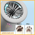 Pet paw cleaner showing brush interior and before and after clean dog paw results.