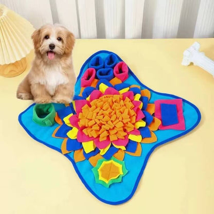 Small dog next to enrichment snuffle mat in vibrant blue and yellow