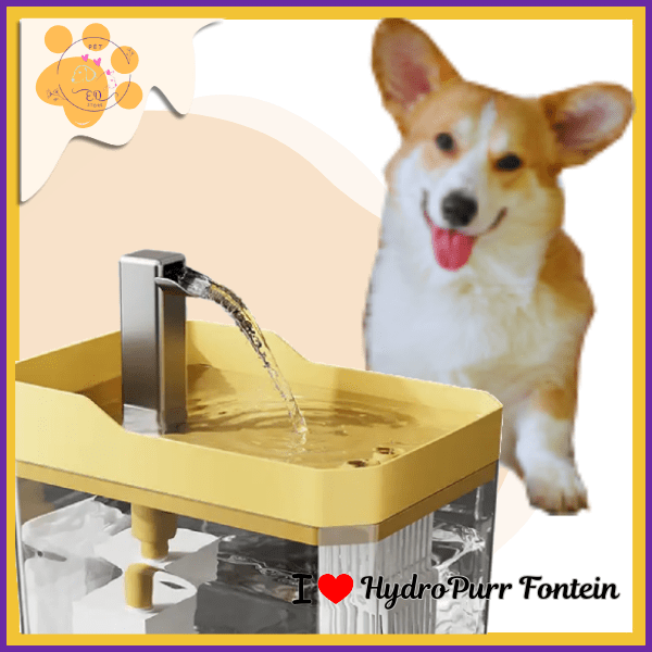 Corgi sitting beside yellow HydroPurr Fontein silent dog water fountain, smiling happily.