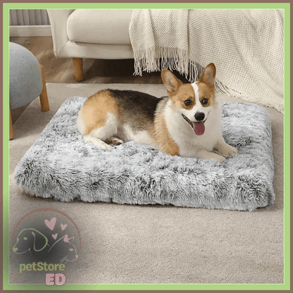 Premium Comfort: Orthopedic Bed, Washable and Non-Slip.