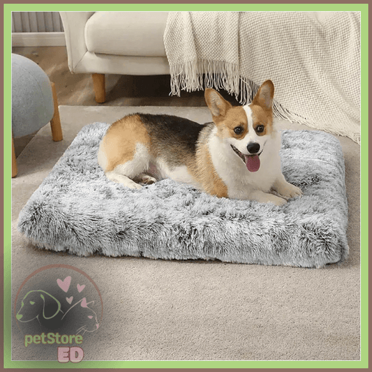 Premium Comfort: Orthopedic Bed, Washable and Non-Slip.