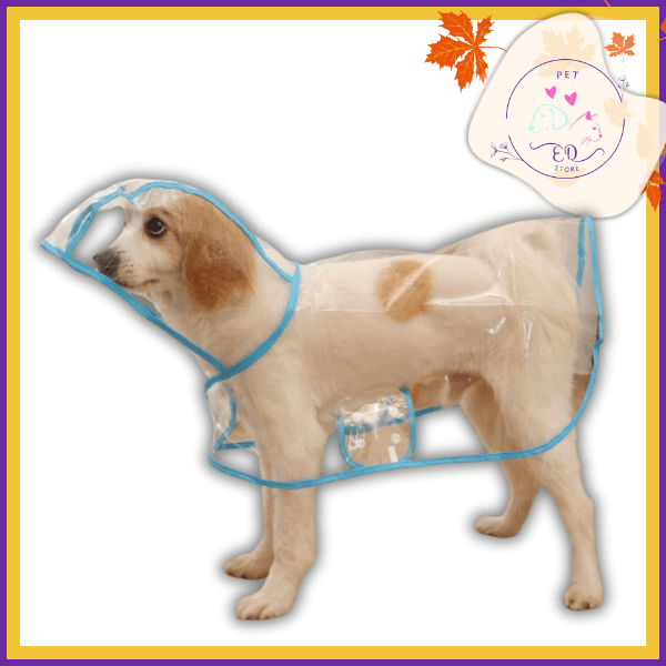 Dog wearing clear raincoat with blue trim, pet apparel product photo