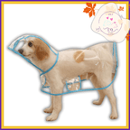 Dog wearing clear raincoat with blue trim, pet apparel product photo