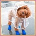 Dog wearing clear DroogPaw raincoat and blue boots standing on wet pavement