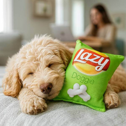 : Cozy moment with dog and Lazy Doggie chew toy from Pet Store ED