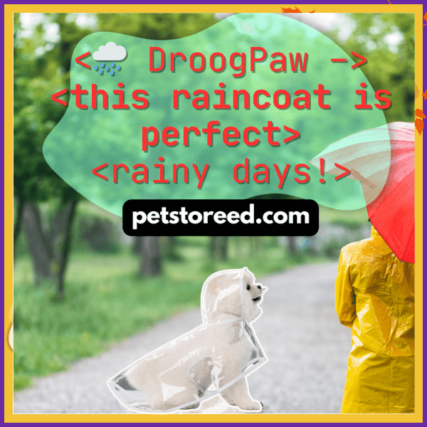 Dog in transparent raincoat on rainy walk, DroogPaw raincoat for pets, petstoreed.com promo