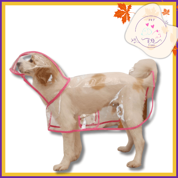 Dog wearing clear pink-trimmed raincoat for pets on white background