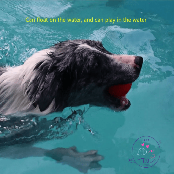 Dog swimming in pool with red EcoChew ball toy, promoting water-safe pet play.