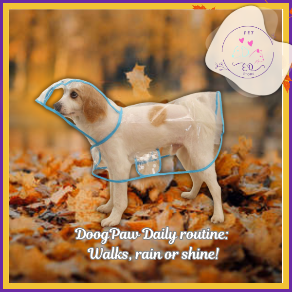 Waterproof raincoat for dogs in autumn, DroogPaw