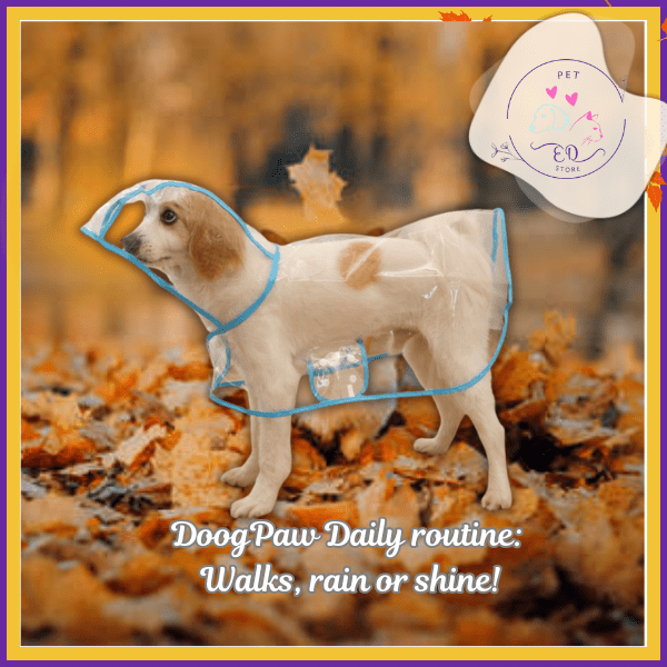 Dog wearing clear raincoat walking in autumn leaves, DoogPaw pet store promo