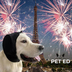 Dog in noise-cancelling hood with Eiffel Tower and fireworks in Paris, PET ED logo visible.