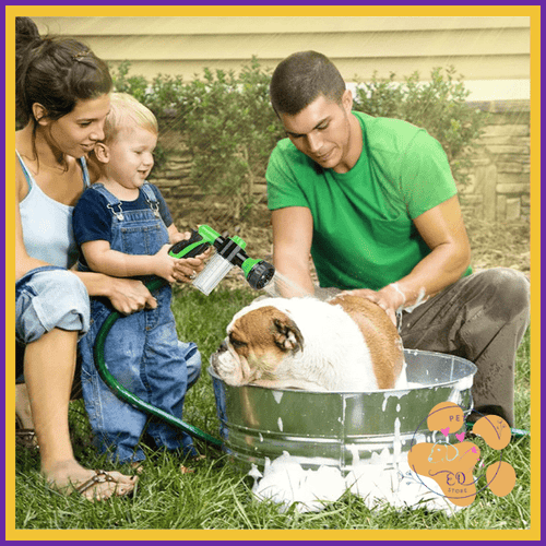 Family washing bulldog in metal tub outdoors using Aqua Pet Jet hose attachment