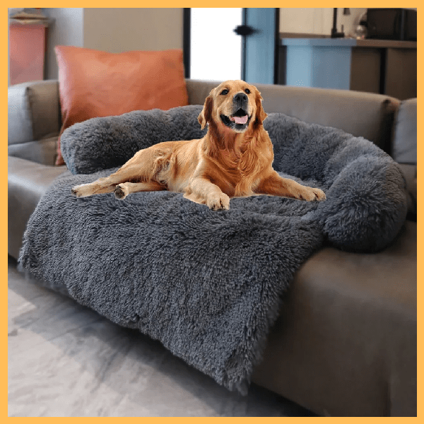 Golden retriever lying on fluffy grey dog couch on modern living room sofa