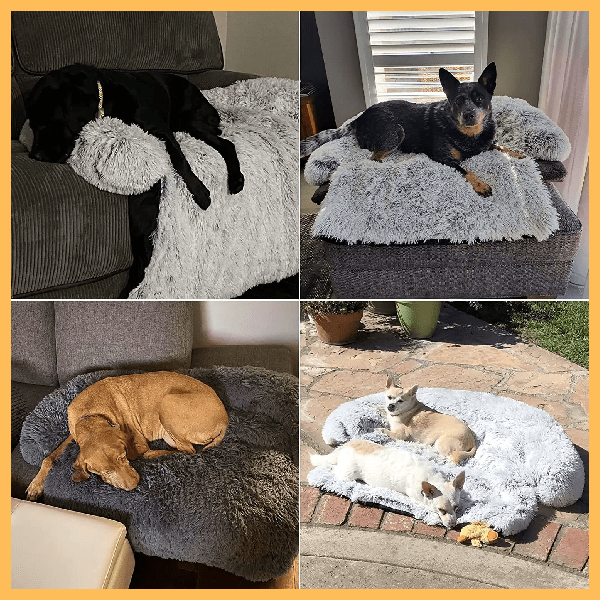 Dogs resting on gray FurHaven anti-slip couch protector indoors and outdoors