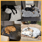 Dogs resting on gray FurHaven anti-slip couch protector indoors and outdoors