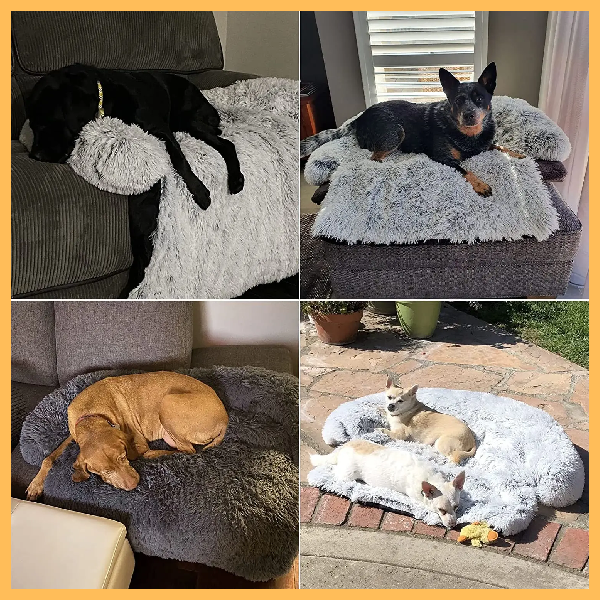 FluffBlanket:The XXL fluffy blanket for dogs and cats, ideal for all seasons.