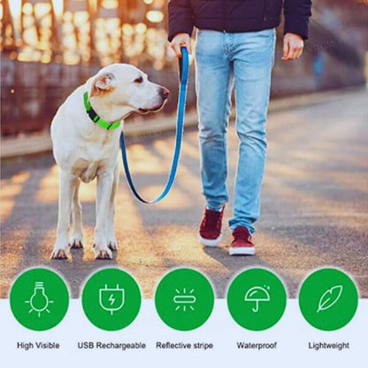 Green light-up dog collar providing visibility and preventing accidents in low-light conditions