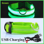 Essential LED Collar for Safe Walks on Dark Days | GlowDog - Pet Store ED