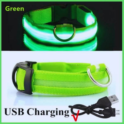 Collection of colorful LED dog collars, ensuring visibility and security during nighttime walks