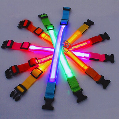 High-quality illuminated collar for dogs, designed for long-lasting visibility and convenience