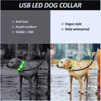 Essential LED Collar for Safe Walks on Dark Days | GlowDog - Pet Store ED