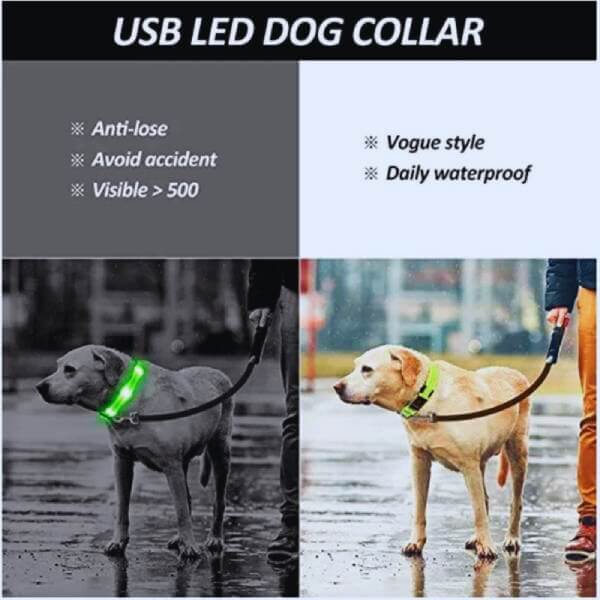 GlowDog rechargeable LED collar in vibrant colors, suitable for day and night walks