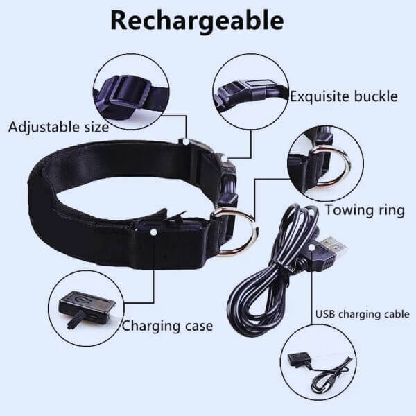 Adjustable GlowDog LED collar with D-ring, nylon strap, and secure buckle for night visibility.