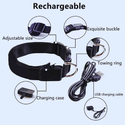 Adjustable GlowDog LED collar with D-ring, nylon strap, and secure buckle for night visibility.