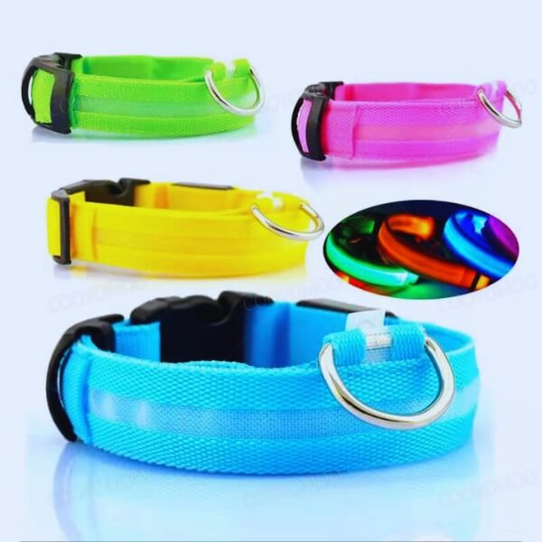 Collection of colorful LED dog collars, ensuring visibility and security during nighttime walks.