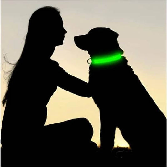 Adjustable, lightweight LED collar ensuring high visibility for dog owners